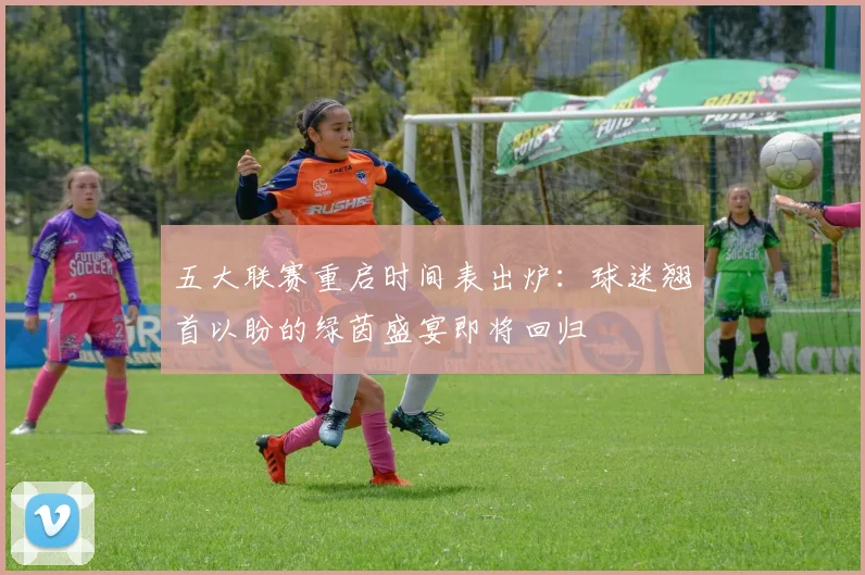 五大联赛重启时间表出炉：球迷翘首以盼的绿茵盛宴即将回归